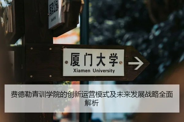 费德勒青训学院的创新运营模式及未来发展战略全面解析